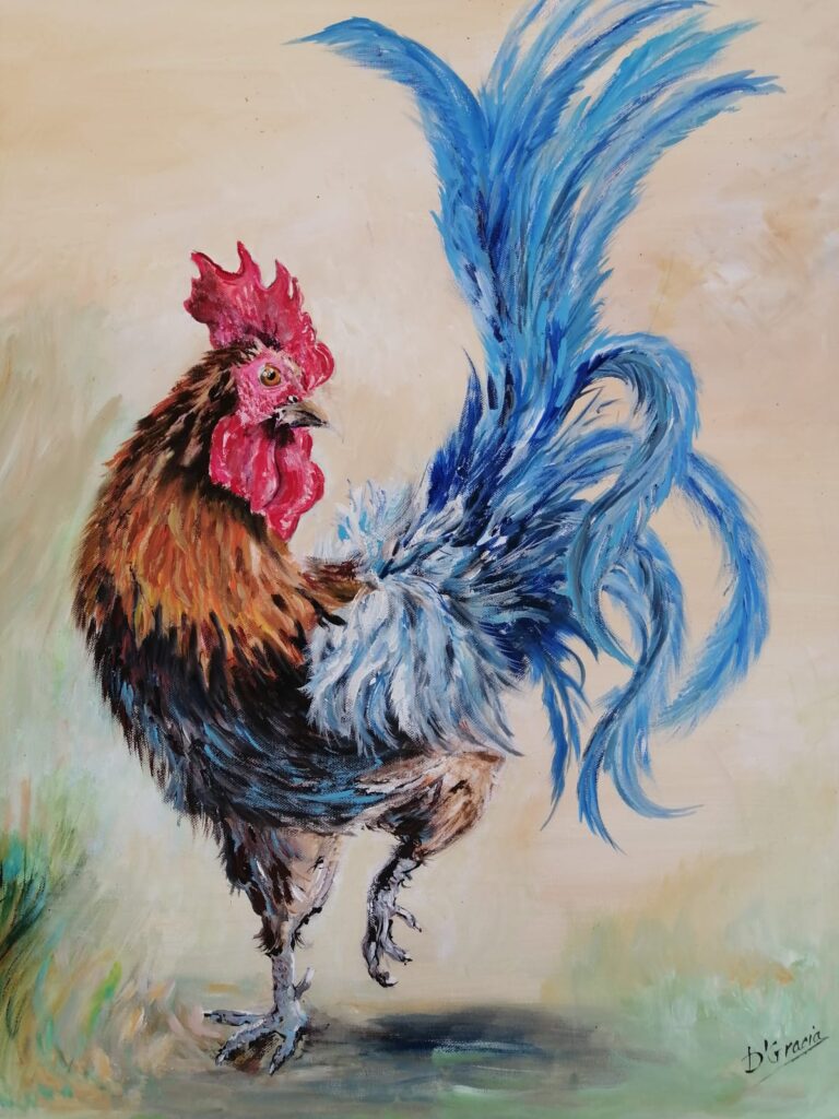 Gallo